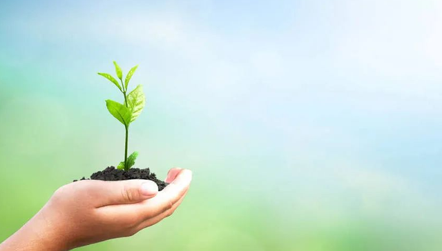 胖东来,企业管理,企业形象,