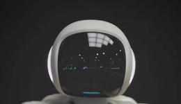 到了该为非碳基生命立法的时候吗？