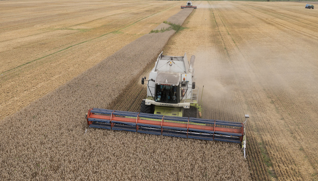 俄罗斯,黑海运粮协议