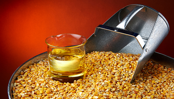 供需两端挤压，中粮科技盈转亏上半年净利下降超100%