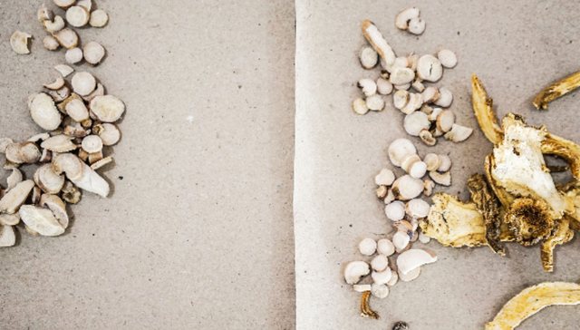 中成药国家集采结果官宣，多款知名中药价格腰斩