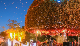 華強(qiáng)方特，遭遇成長(zhǎng)的煩惱