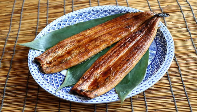 押注鳗鱼价格上行，天马科技拟募资3亿元扩充产能