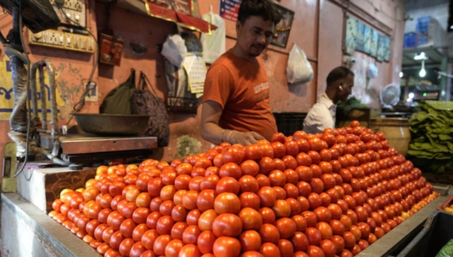 印度,西红柿,极端天气