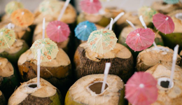 東北市場不拒絕椰子咖啡