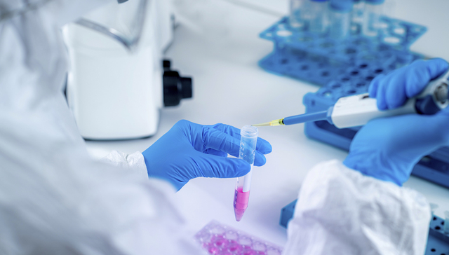 思路迪股价雪崩，三天蒸发近200亿，公司紧急回应