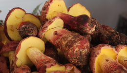 人間美味見手青，怎么吃才不會見到小人？