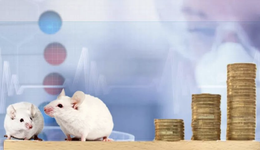 小白鼠生意經(jīng)：一只1385元、年賣12萬只，要IPO了