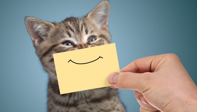 一脸冷漠，一直“笑死”：我们的笑怎么成了这样？