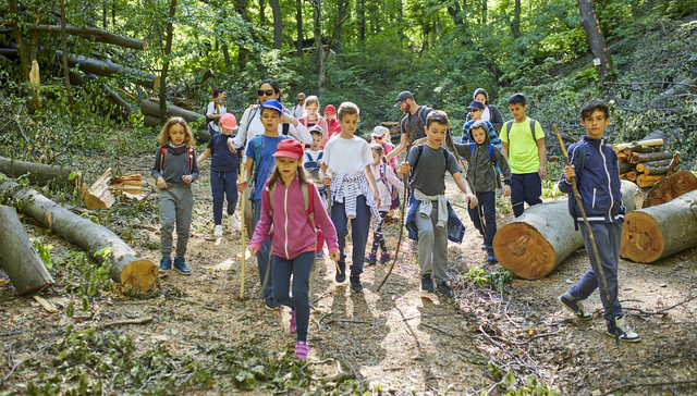 故宫、清北一票难求，家长最担心研学安全问题