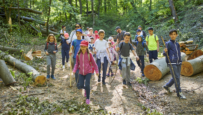 故宫、清北一票难求，家长最担心研学安全问题