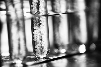 DHA,细胞工厂,Martek,无溶剂,自主研发,目录文件,自主创新,公告,脑黄金,强心剂