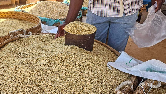 乌克兰,黑海,运粮,俄罗斯,卡塔尔