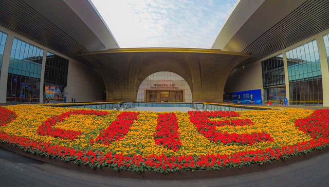 上海,进博会,倒计时100天,首发,第六届进博会,胰腺癌精准诊治方案,衰老抑制剂,首发