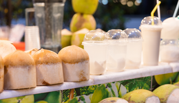 火出圈的椰子能否“比椰”到最后？