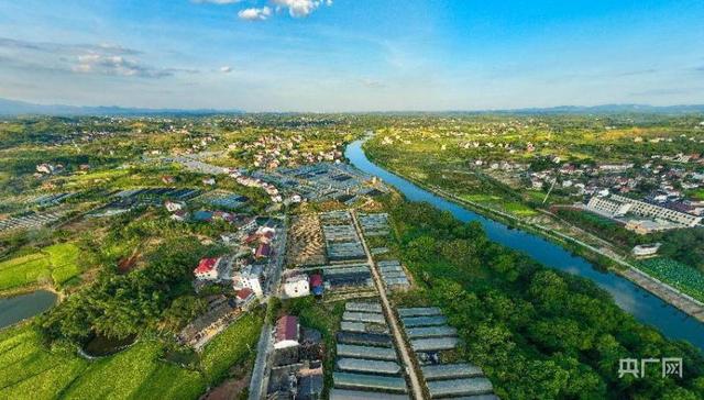 幸福路,村集体经济组织,双清区,山水,乡村治理,农户,农家乐,党建,文明村,面子