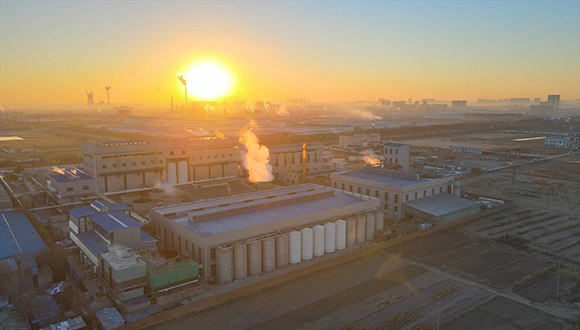 价格下挫代糖也开始卷了，龙头三元生物如何自救？