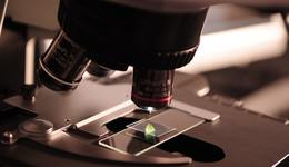 化妆品检测，无限“内卷”