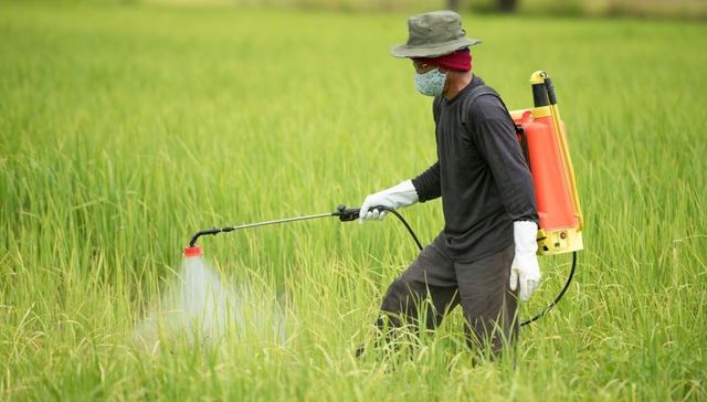 IPO雷达 | 财务内控不规范的快达农化，产能利用率大幅下滑仍拟大扩产