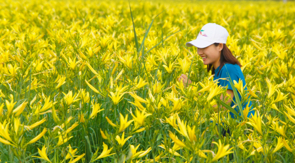 大产业,黄花苗,段亚萍,总书记,产业融合,产业振兴,产业链条,新村,四同,坊城