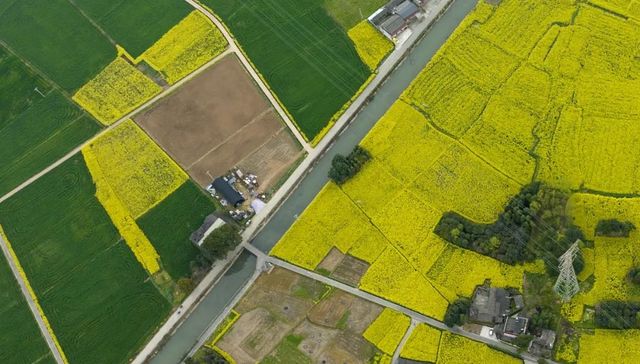 垂直自然带,慢生活,成都平原,主场,古蜀人,锦官城,锦里,锦城,国宝,麻辣鲜