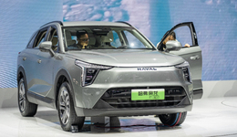 突击新能源，长城汽车能否杀出重围？