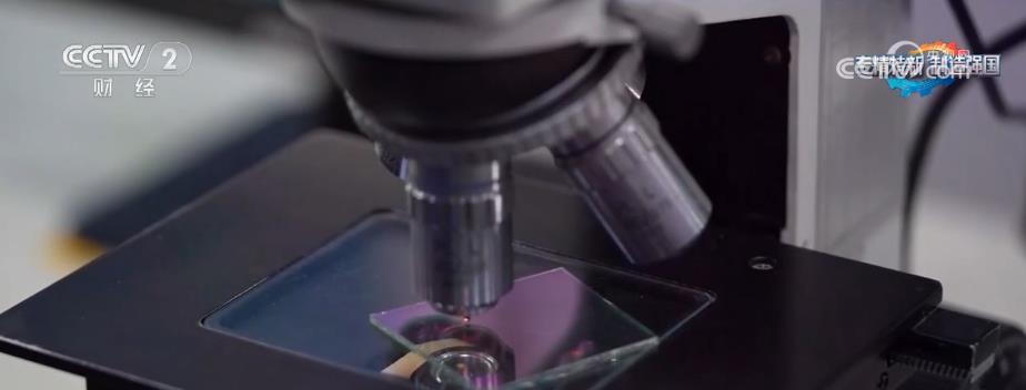 小巨人,钻石刀,专精,杨紫薇,拳头,专精特新,刀具,小而美,时钟芯片,独门绝技