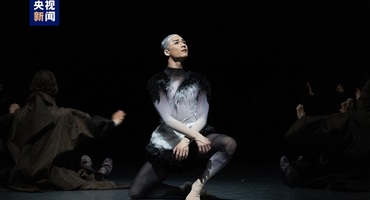 共振“大运热” 舞剧《大熊猫》上演舞出“国际范儿”