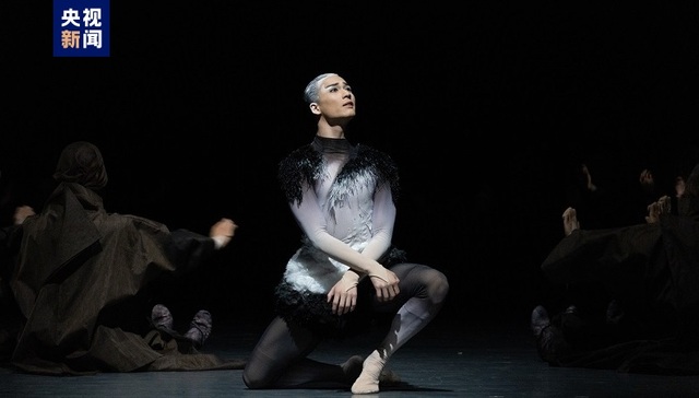 大熊猫,舞剧,大运会,百丈,共振,升降舞台,命题,野生动物,世界大学生,艺术交流