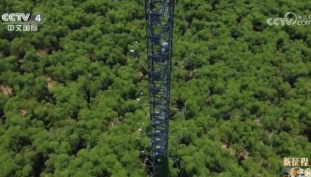 中国式现代化,碳通量,碳汇,清洁能源,现代化强国,大陈岛,两山合作社,风能资源,毛竹林,光伏发电