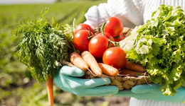 当代农产品品牌化趋势：向上而行，向下生长