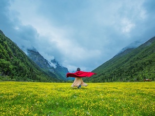 7月经济走势如何？高频数据透露了这些信息
