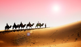 深度揭秘旅游企业2023年中报亏损之谜