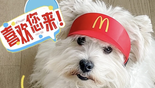 麦当劳,打工人,麦门文学