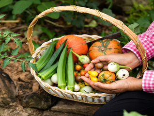 上半年全国农村网络零售额达1.12万亿元，农村直播电商兴起