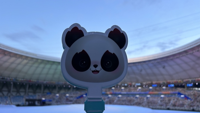 蓉宝,大运会,大熊猫,吉祥物,蜀风,乌干达,篮球运动员,审校,拍摄,文森特