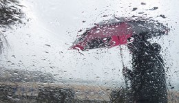 地方新聞精選 | 哈爾濱部分地區(qū)居民非必要不外出 北京多所公園博物館恢復(fù)開(kāi)放