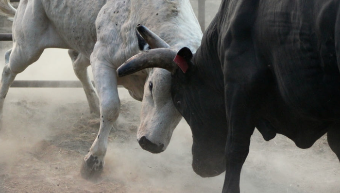 空调,商业纠纷,格力电器,奥克斯,经营压力,多元化,