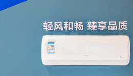 奥克斯：走捷径的“代价”