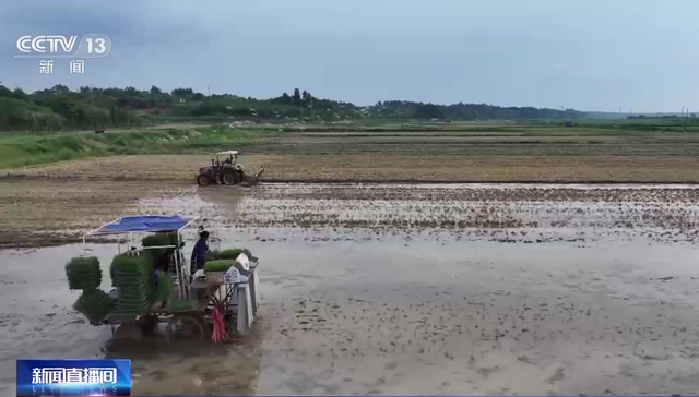 大田,小田,作业条件,变形记,耕地,产权交易中心,亦仁村,种粮大户,收获,汨罗市