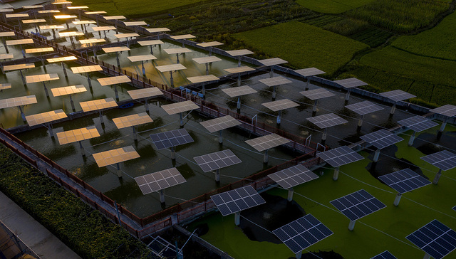 这家企业用租约模式推动分布式光伏下乡，但农村电网建设还需加强