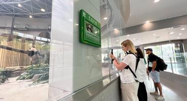 成都大运会 | 大运会参赛代表团在成都圆“大熊猫梦”