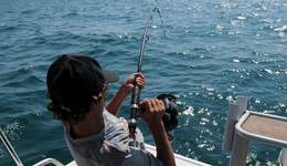 年產(chǎn)值超500億，這個(gè)城市拿捏了全球釣魚人