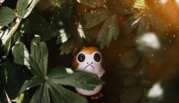 潮玩公司Funko半年虧1.37億美元，CEO辭職，“潮玩”還有出路嗎？