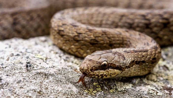 赛伦生物,人事变动,接班人计划