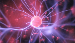 1年翻4倍、3年2個爆款，生命科學(xué)明星單品如何撐起千億賽道？