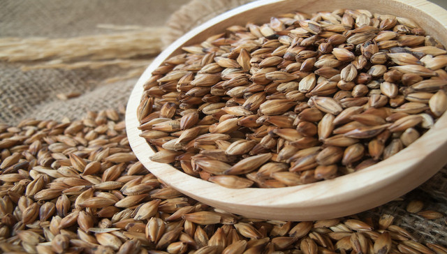 澳洲进口大麦反倾销税被取消，中国进口大麦前三大来源国已变了