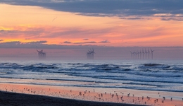 成立新公司，马云入局能源行业了