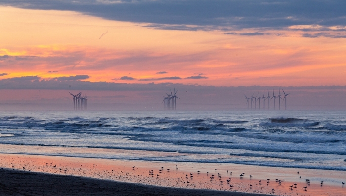 新能源,海上风电,一米八,第二大股东,马云
