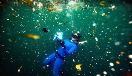 【圖集】海洋里的塑料：大量塑料污染已形成巖石，漂浮塑料95%大于2.5厘米